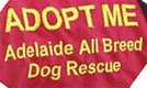 Adelaide All Breed Dog Rescue
